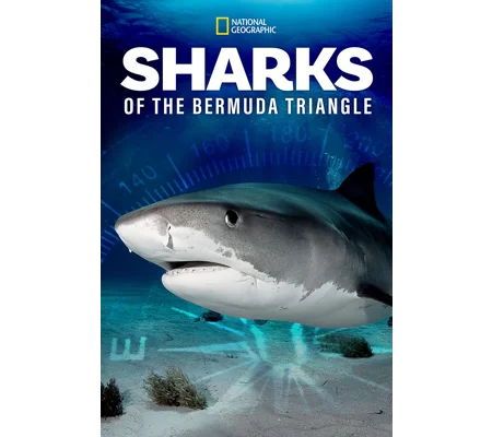 Sharks Of The Bermuda Triangle (2020)