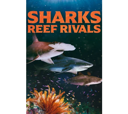 Sharks - Reef Rivals (2026)