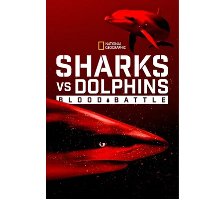 Sharks vs. Dolphins - Blood Battle (2020)