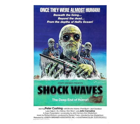 Shock Waves (1977)