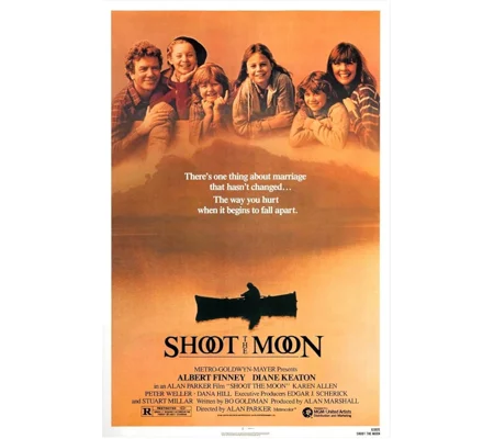 Shoot The Moon (1982)