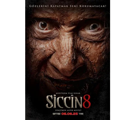 Siccin 8 (2025)