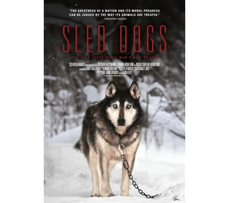 Sled Dogs (2016)