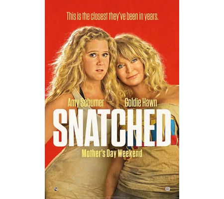 Snatched (2017)