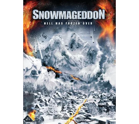 Snowmageddon (2011)