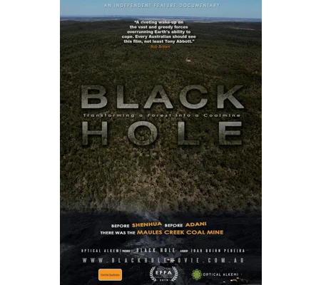 The Black Hole (2015)