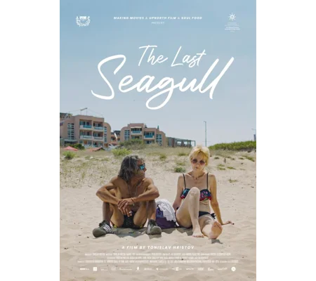 The Last Seagull (2023)