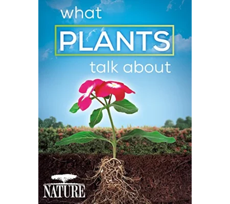 What Plants Talk About (2013)