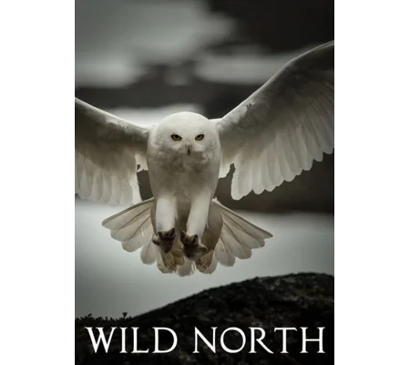Wild North - Season 1 (2015) 2 DVD Set 3 Episodes