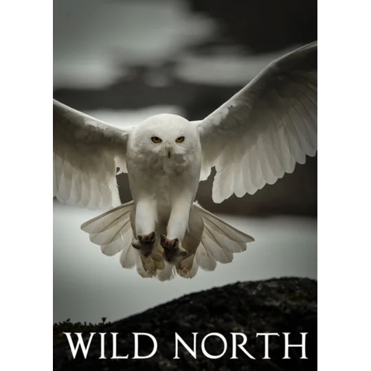 Wild North - Season 1 (2015) 2 DVD Set 3 Episodes