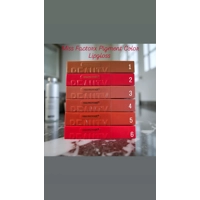 Miss Factorx Pigment Color Lipgloss