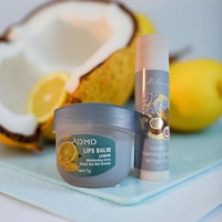 2Pack BOX OF LIPBALM FRUIT