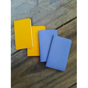 Moleskin pocket notebook