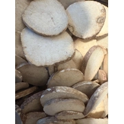 Alisma  root 1 pound 2 packs