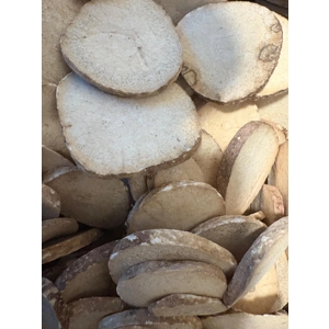 Alisma  root 1 pound 2 packs