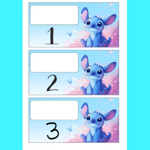 Budget Envelope Inserts