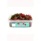 Giant Strawberries Tub 600g