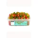 Friendship Rings Tub 600g