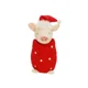 Pig in Blanket Plush