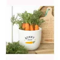 Bunny Treats Ceramic Pot
