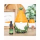 Carrot Patch Gonk Oil Burner