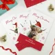 Personalised Highland Cow Pack of 10 Christmas C..