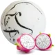 Dragon Fruit Tropical Paradise Coco Bath Bomb