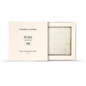 Home Ritual Melt Wax 489 Inspired by Thierry Mugler Alien