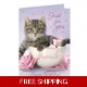 Personalised Rachael Hale 'Just for You' Kitten ..