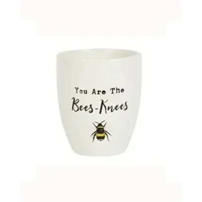 You Are The Bees Knees Ceramic Plant Pot