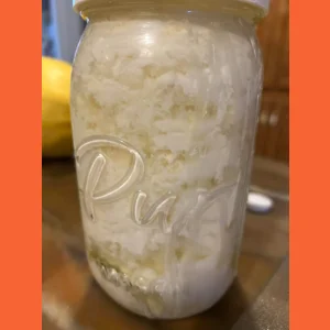 Raw Kefir grains