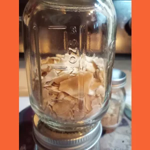 FMF dehydrated sourdough chips