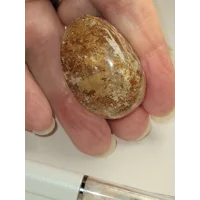 Thousand Layer Garden Quartz Lg Tumble