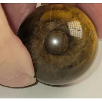 Tiger Eye Sphere