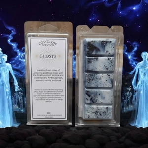 Ghosts Wax Melt Bar