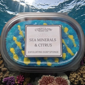 Sea Minerals & Citrus Soap Sponge