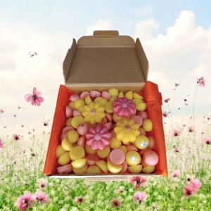 Vanilla Blossom Wax Scoopies