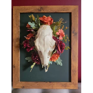 The Autumn Solstice - Framed Real Fallow Deer Skull Botanical Display
