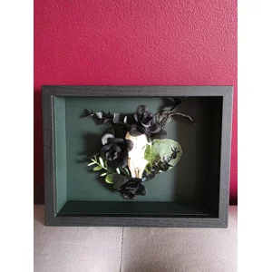 The Obsidian Crypt - Framed Real Rabbit Taxidermy Display