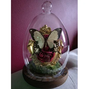 The Baroque Botanical Dome - Real African Swallowtail Butterfly Taxidermy