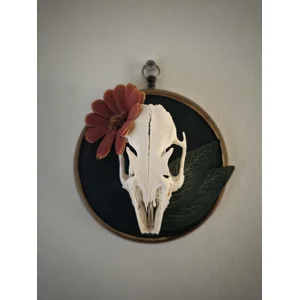 The Miniature Meadow Vault - Real Rabbit Skull Vintage Frame Art