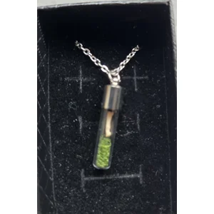 Real Squirrel Toe Curio Vial Necklace