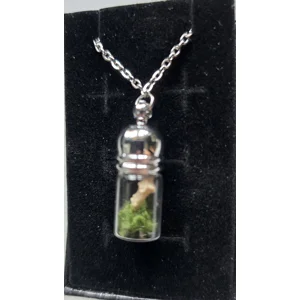 Real Squirrel Sternum Curio Potion Vial Necklace