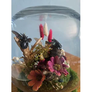 The Enchanted Forest Globe - Real Giant Black Tropical Carpenter Bees Diorama