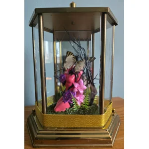 The Goddess of Metamorphosis - Real Exotic Beetle & Swallowtail Butterfly Clock Case Diorama