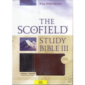 KJV SCOFIELD STUDY BIBLE 3
