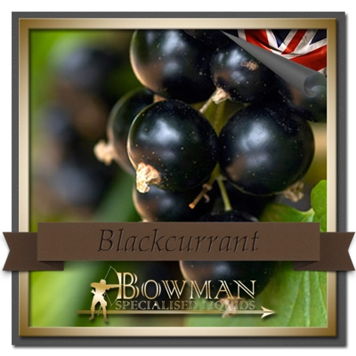 Blackcurrant 10ml