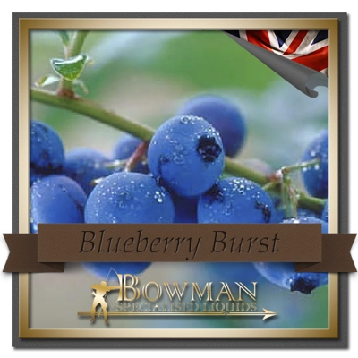 Blueberry Burst 10ml