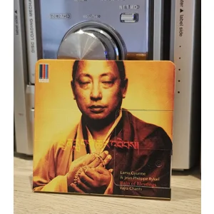 Rain Of Blessings - Lama Gyurme