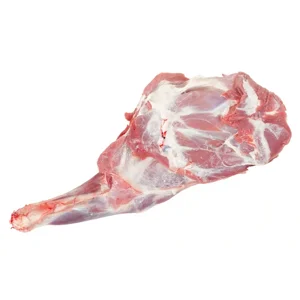 Sheep shoulder